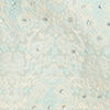 Blue Brocade Ceremony Extravagance Indo Western